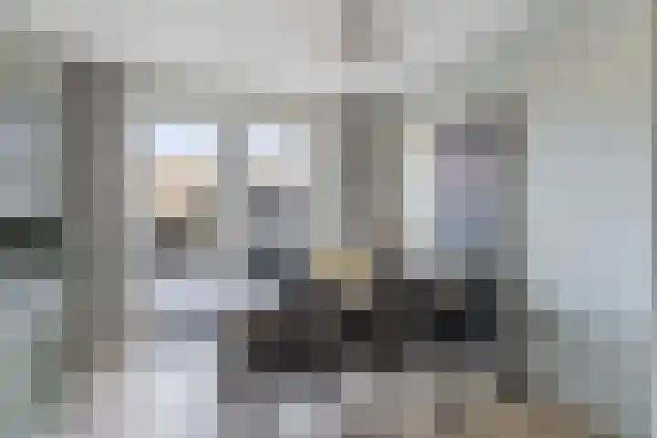 Zilverreigerdreef 60 Pijnacker thumbnail 10