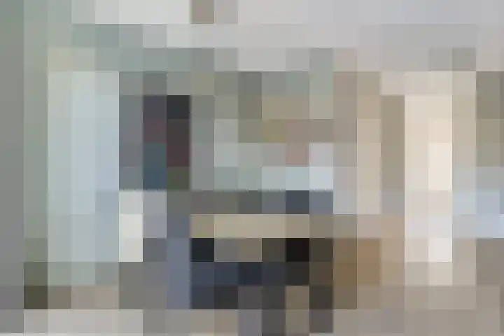 Zilverreigerdreef 60 Pijnacker thumbnail 11