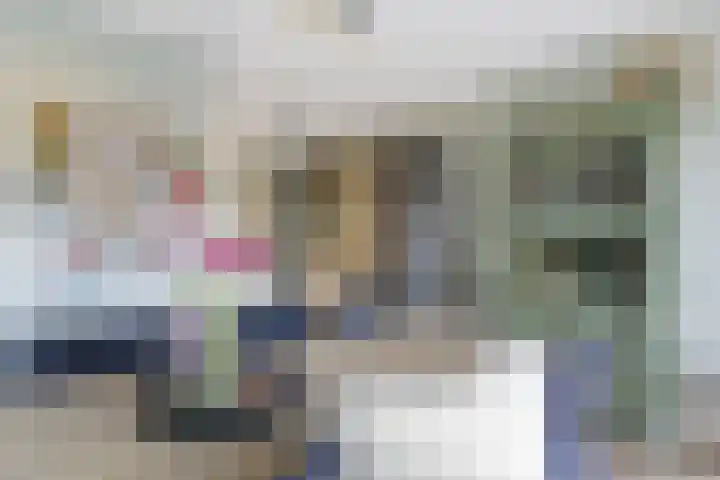 Zilverreigerdreef 60 Pijnacker thumbnail 12