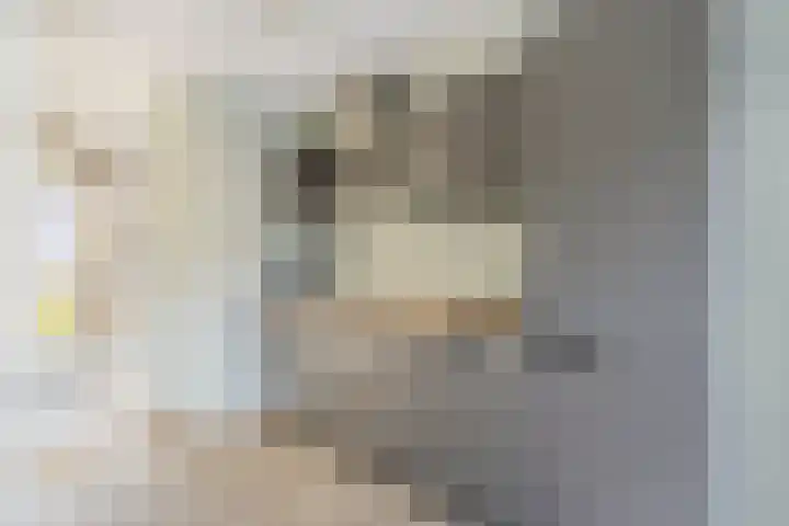Zilverreigerdreef 60 Pijnacker thumbnail 13