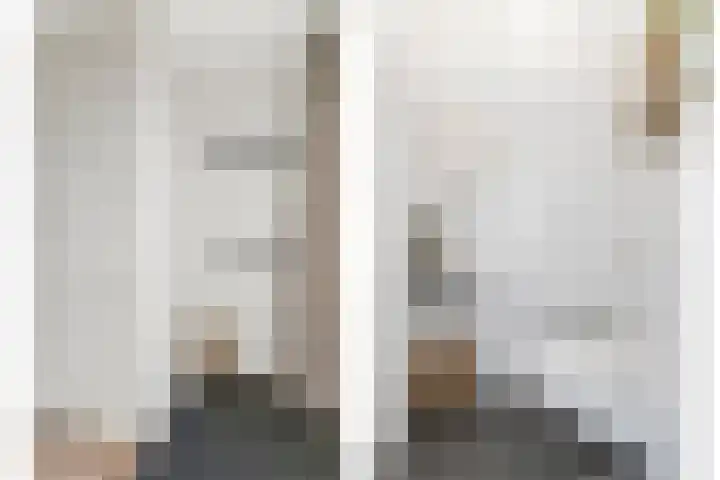 Zilverreigerdreef 60 Pijnacker thumbnail 14