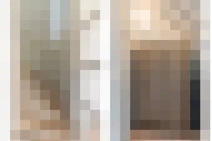 Zilverreigerdreef 60 Pijnacker thumbnail 15