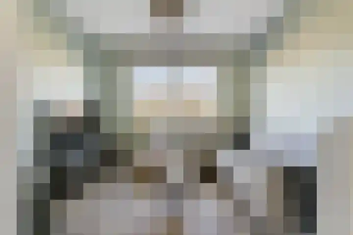 Zilverreigerdreef 60 Pijnacker thumbnail 16