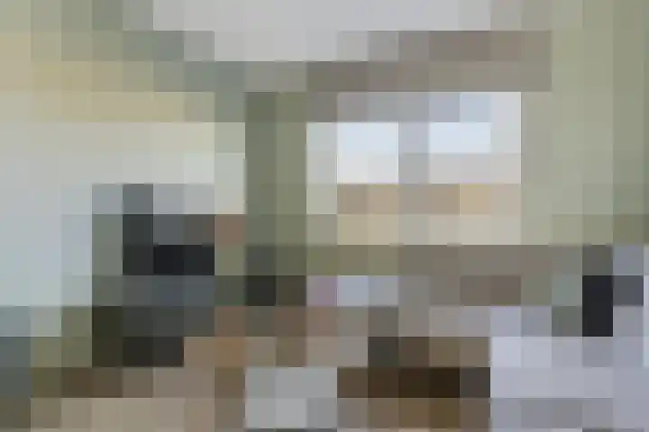 Zilverreigerdreef 60 Pijnacker thumbnail 17