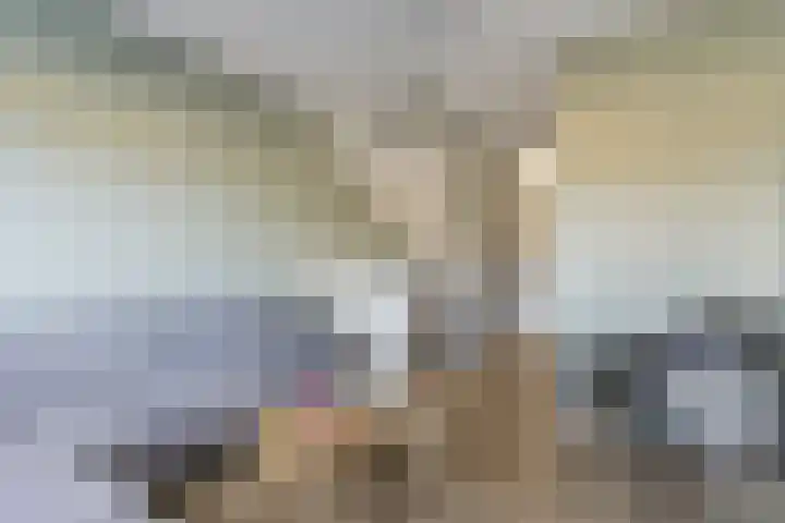 Zilverreigerdreef 60 Pijnacker thumbnail 18