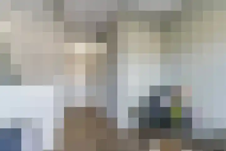 Zilverreigerdreef 60 Pijnacker thumbnail 19