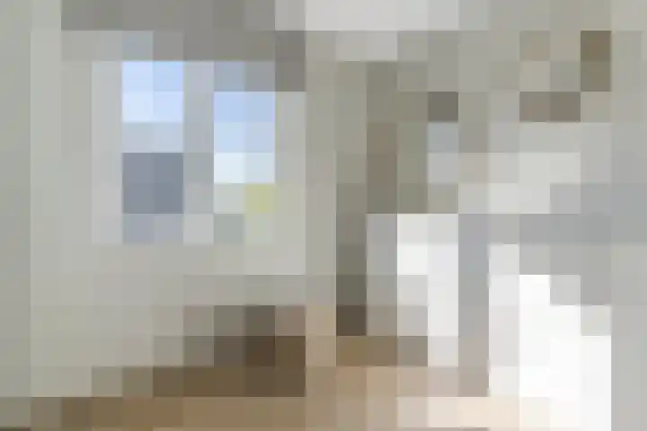Zilverreigerdreef 60 Pijnacker thumbnail 20