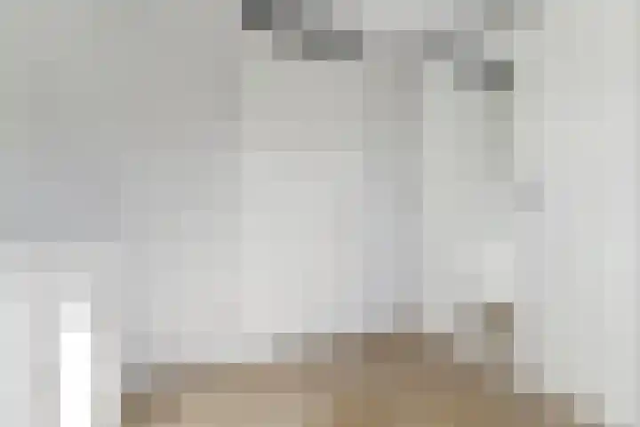 Zilverreigerdreef 60 Pijnacker thumbnail 21