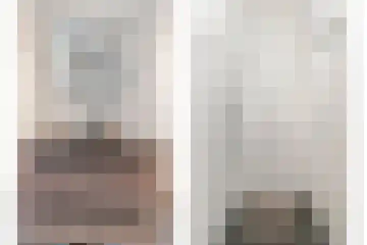 Zilverreigerdreef 60 Pijnacker thumbnail 22