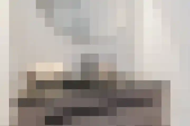 Zilverreigerdreef 60 Pijnacker thumbnail 23