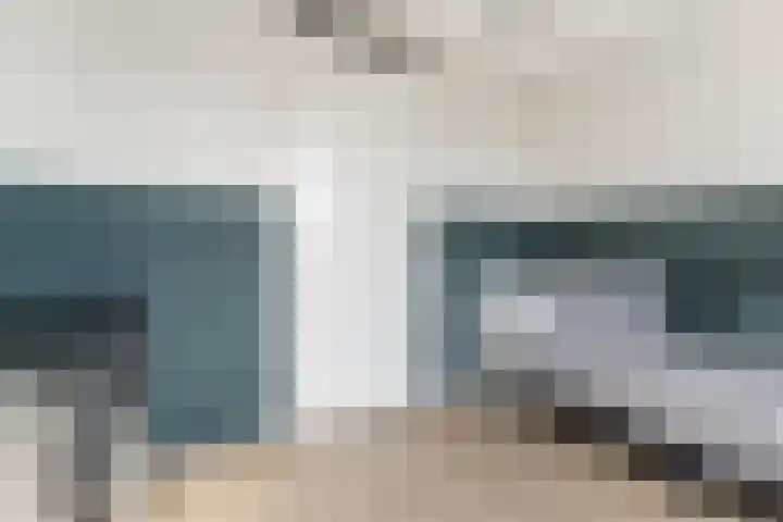 Zilverreigerdreef 60 Pijnacker thumbnail 29