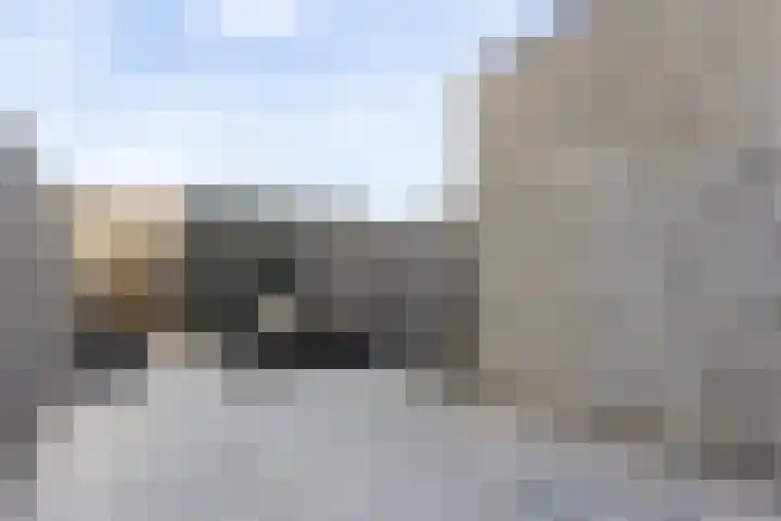 Zilverreigerdreef 60 Pijnacker thumbnail 30