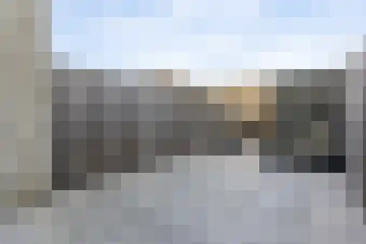 Zilverreigerdreef 60 Pijnacker thumbnail 31