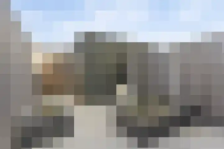 Zilverreigerdreef 60 Pijnacker thumbnail 32