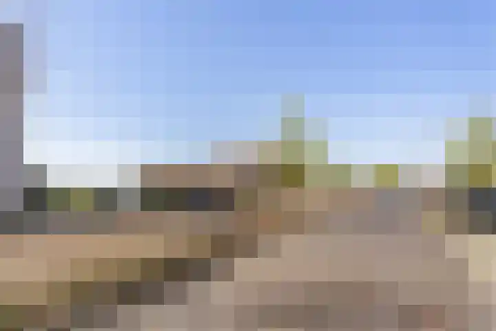 Zilverreigerdreef 60 Pijnacker thumbnail 35