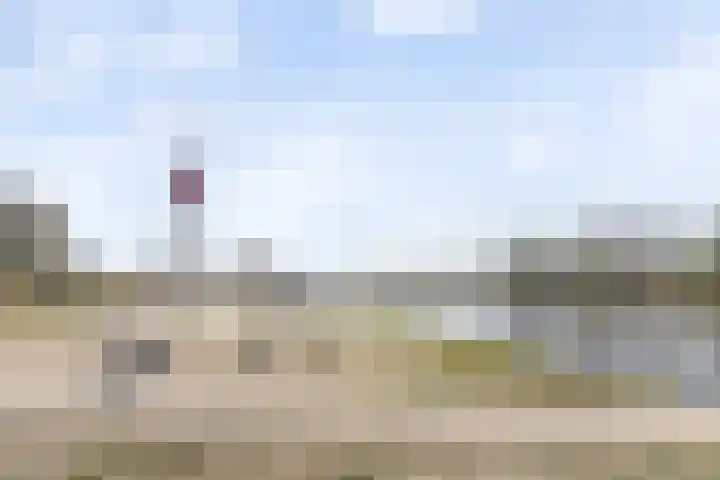 Zilverreigerdreef 60 Pijnacker thumbnail 36
