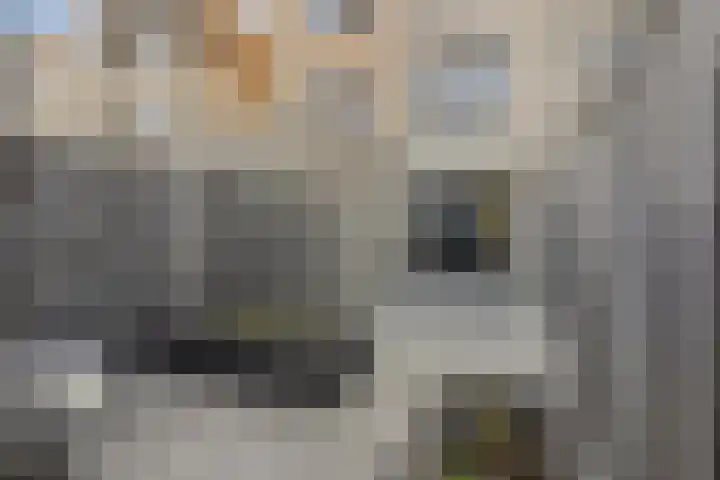 Zilverreigerdreef 60 Pijnacker thumbnail 4