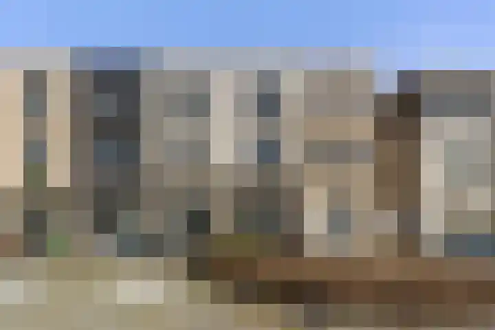Zilverreigerdreef 60 Pijnacker thumbnail 41