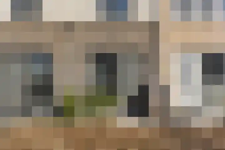 Zilverreigerdreef 60 Pijnacker thumbnail 5