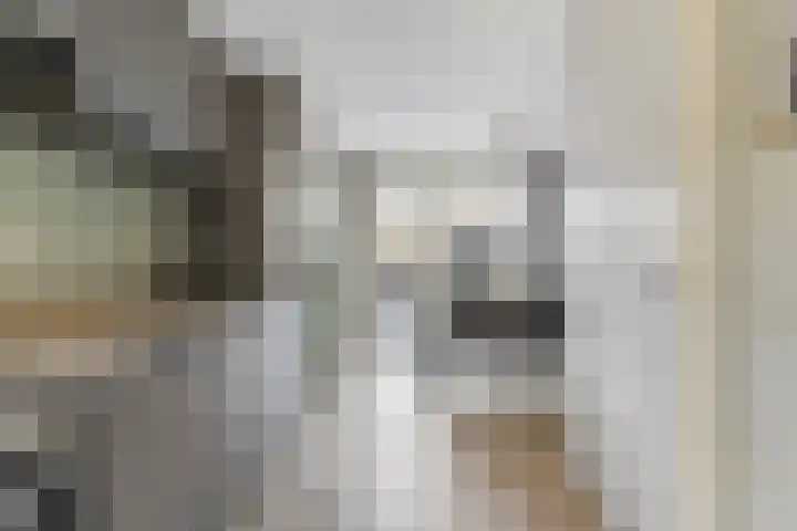 Zilverreigerdreef 60 Pijnacker thumbnail 7