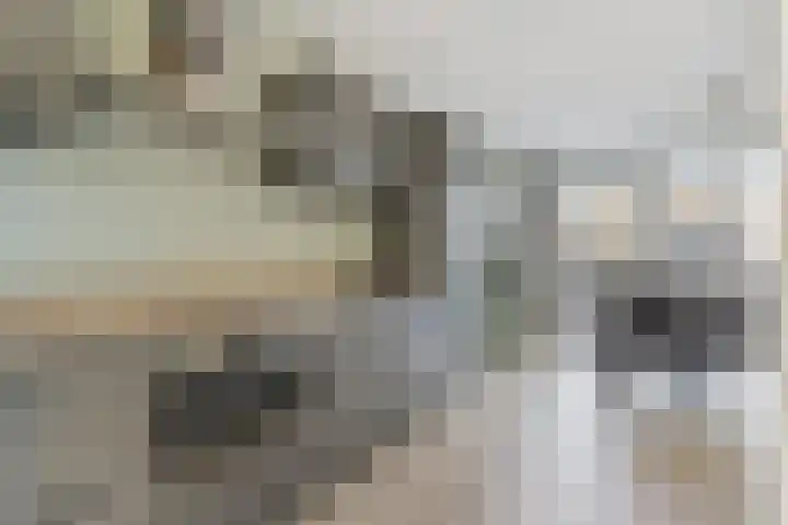 Zilverreigerdreef 60 Pijnacker thumbnail 8