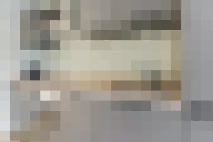 Zilverreigerdreef 60 Pijnacker thumbnail 9