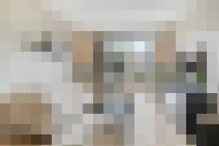 Zilverreigerdreef 74 Pijnacker thumbnail 10