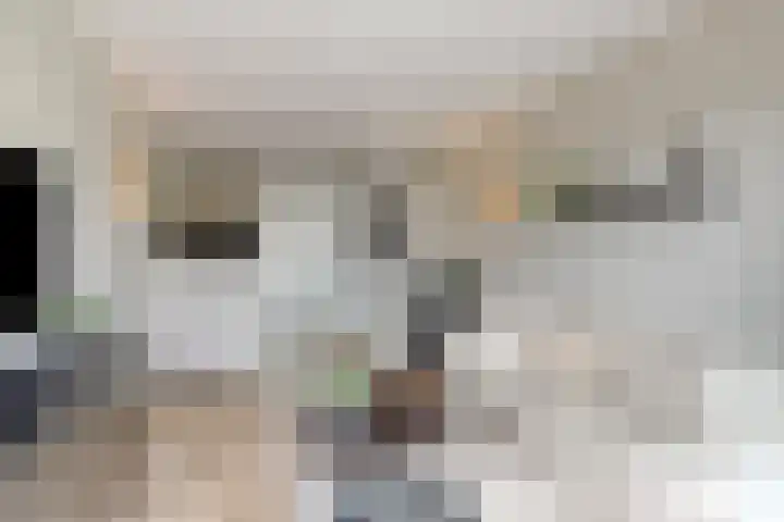 Zilverreigerdreef 74 Pijnacker thumbnail 11