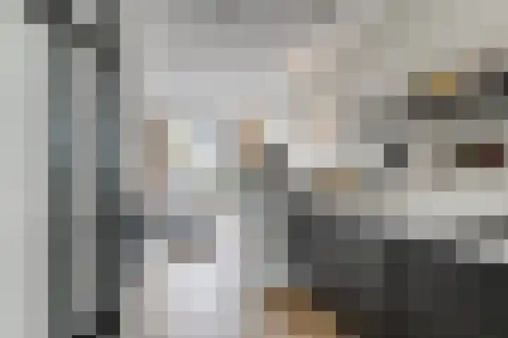 Zilverreigerdreef 74 Pijnacker thumbnail 12