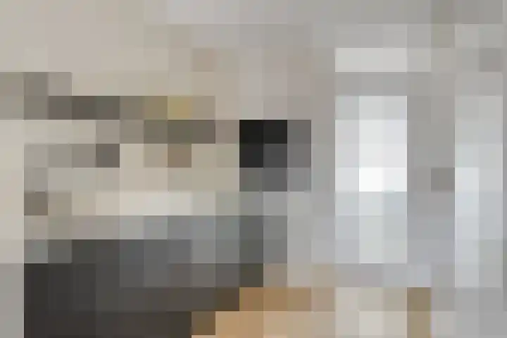 Zilverreigerdreef 74 Pijnacker thumbnail 13