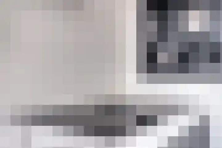 Zilverreigerdreef 74 Pijnacker thumbnail 14