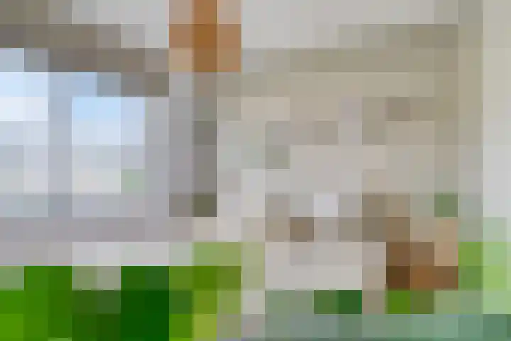 Zilverreigerdreef 74 Pijnacker thumbnail 18