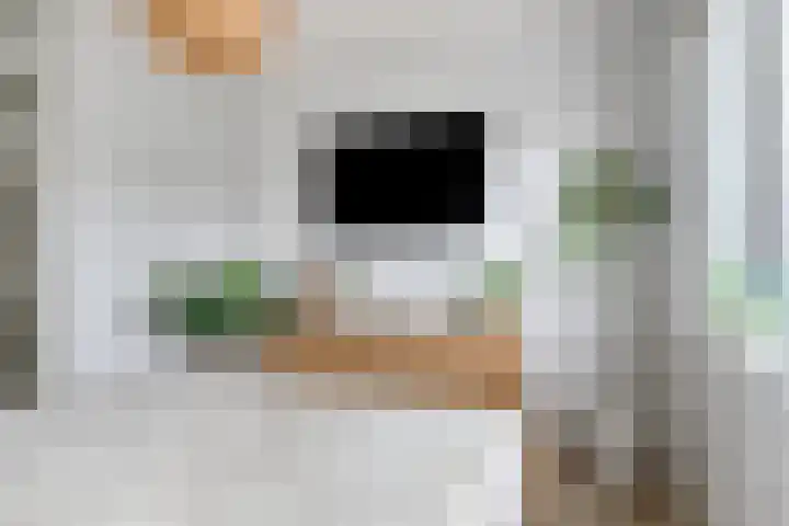 Zilverreigerdreef 74 Pijnacker thumbnail 19