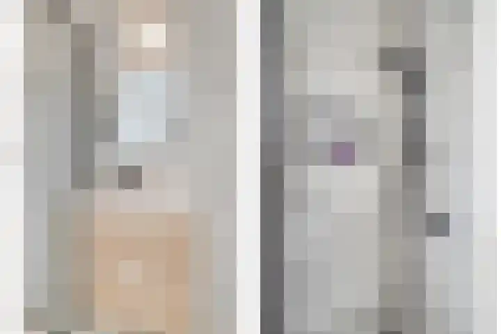 Zilverreigerdreef 74 Pijnacker thumbnail 21