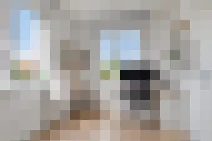 Zilverreigerdreef 74 Pijnacker thumbnail 24