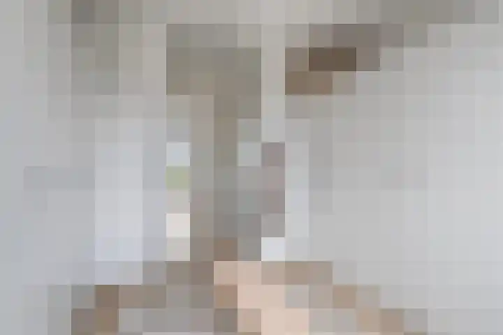 Zilverreigerdreef 74 Pijnacker thumbnail 27