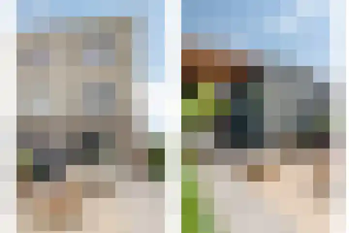 Zilverreigerdreef 74 Pijnacker thumbnail 30