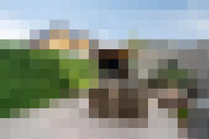 Zilverreigerdreef 74 Pijnacker thumbnail 31