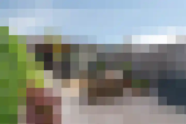 Zilverreigerdreef 74 Pijnacker thumbnail 32