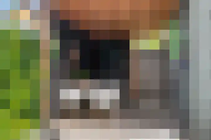 Zilverreigerdreef 74 Pijnacker thumbnail 33