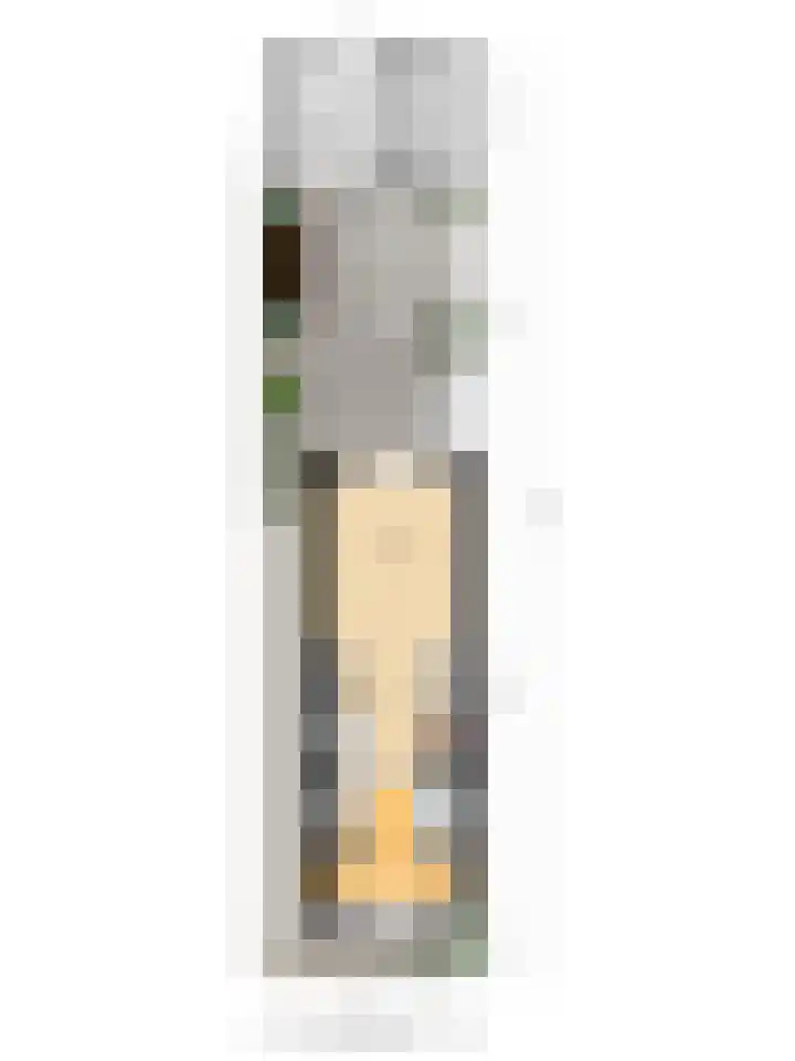 Zilverreigerdreef 74 Pijnacker thumbnail 34
