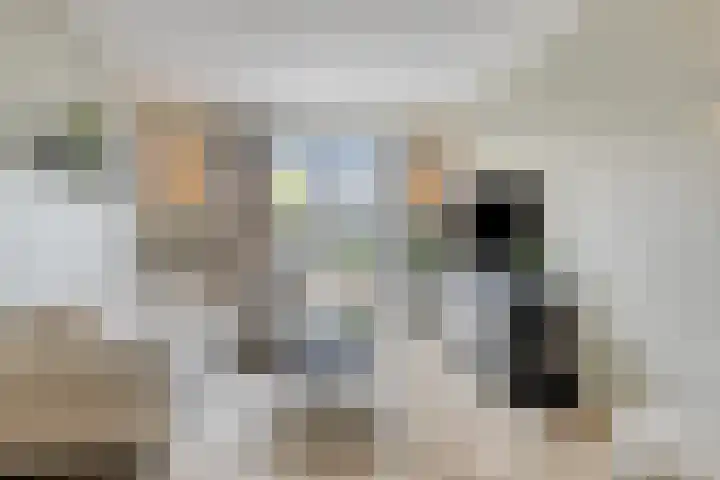 Zilverreigerdreef 74 Pijnacker thumbnail 5