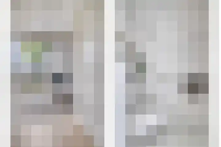 Zilverreigerdreef 74 Pijnacker thumbnail 9