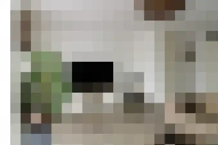 Zilverschat 10 Cuijk thumbnail 10