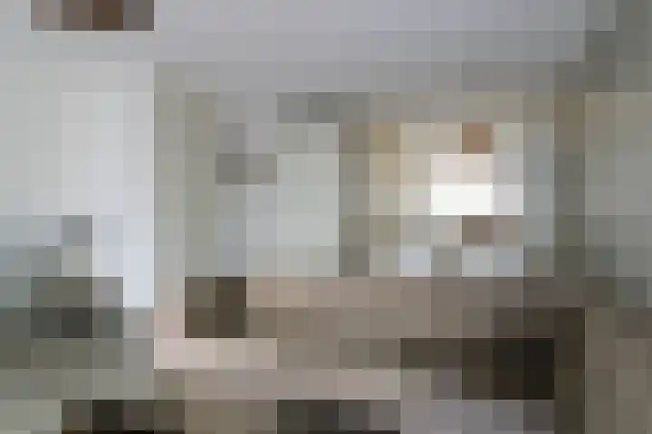 Zilverschat 10 Cuijk thumbnail 11