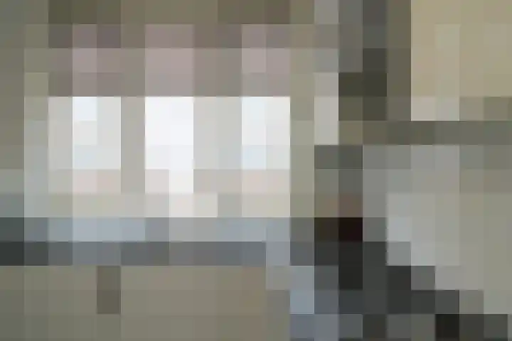 Zilverschat 10 Cuijk thumbnail 14