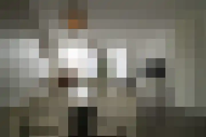 Zilverschat 10 Cuijk thumbnail 15