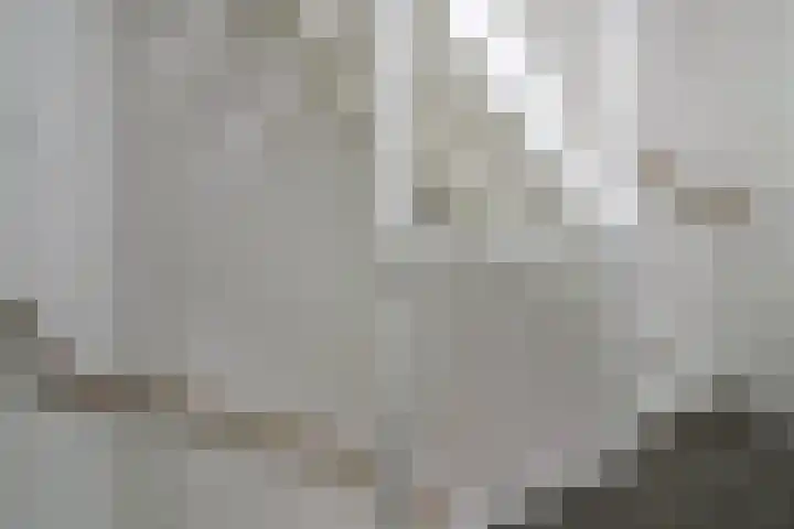 Zilverschat 10 Cuijk thumbnail 16