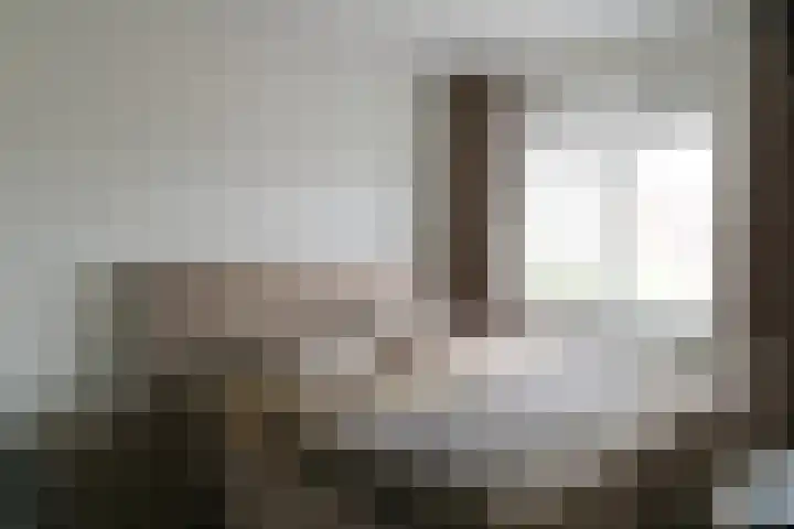 Zilverschat 10 Cuijk thumbnail 17