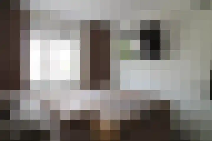 Zilverschat 10 Cuijk thumbnail 18